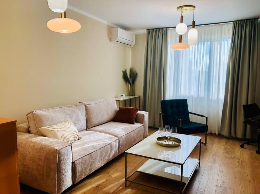 Joy City Stay Victoriei 7G-13 Timişoara Extérieur photo